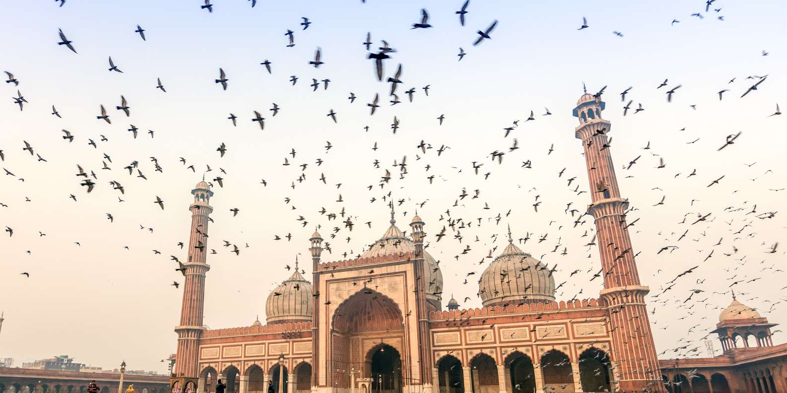 things to do in New Delhi