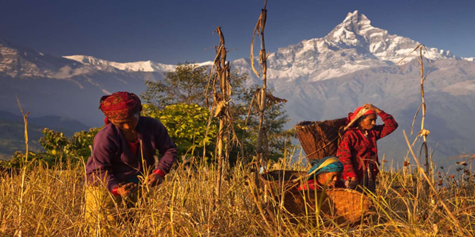 things to do in Pokhara