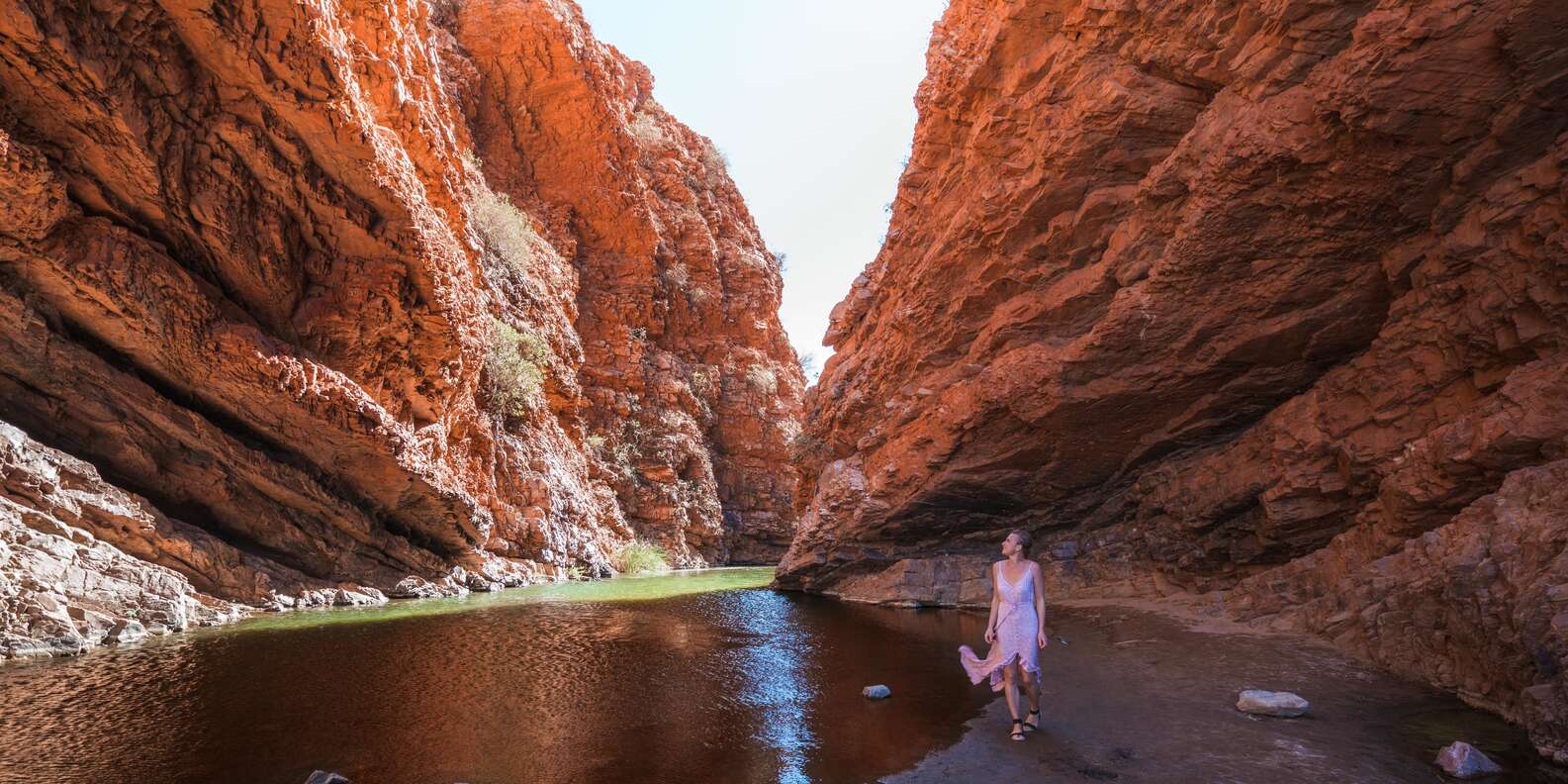 things to do in Alice Springs