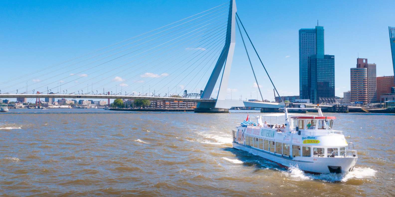 things to do in Rotterdam