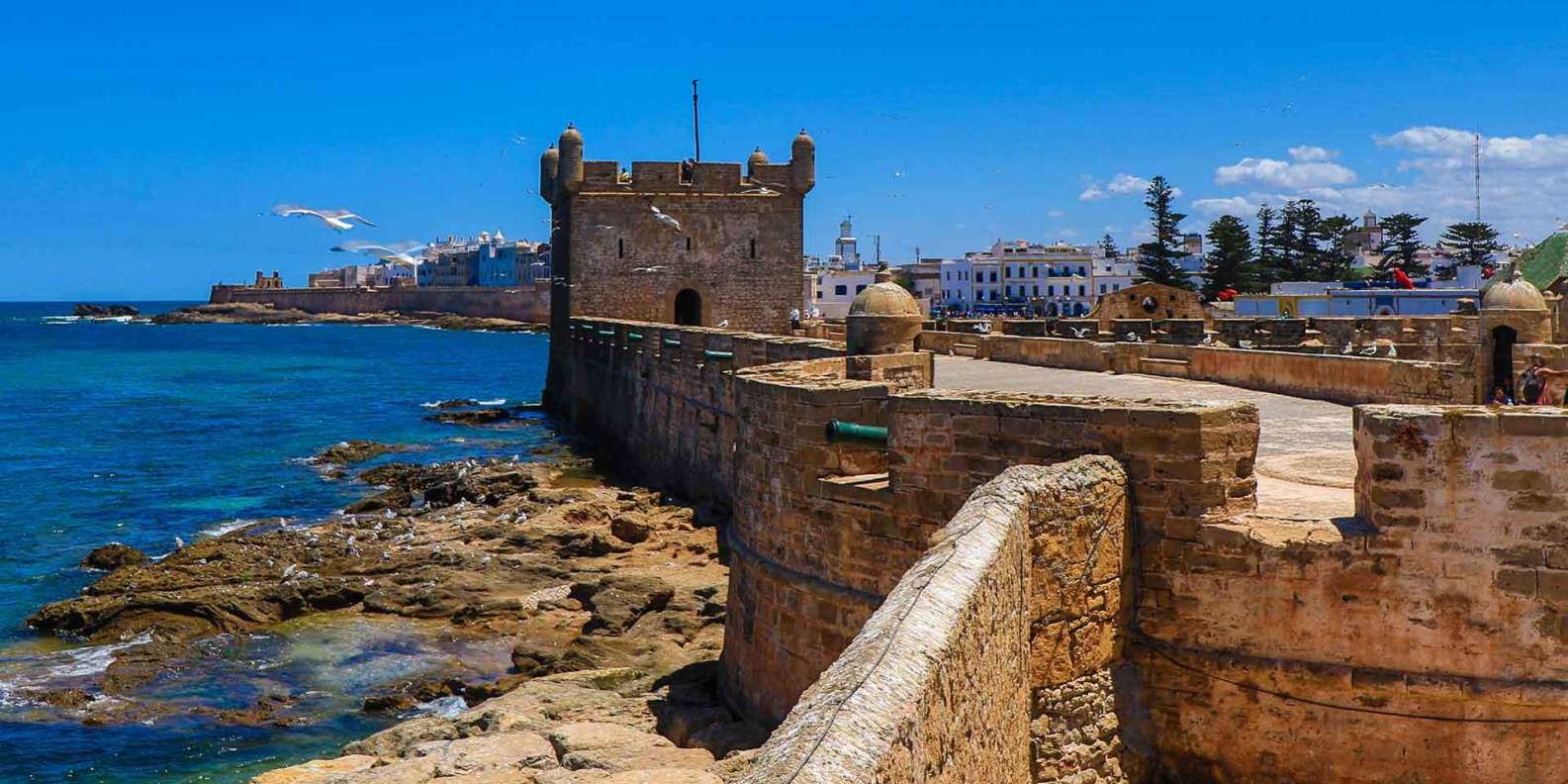 best things to do in Essaouira