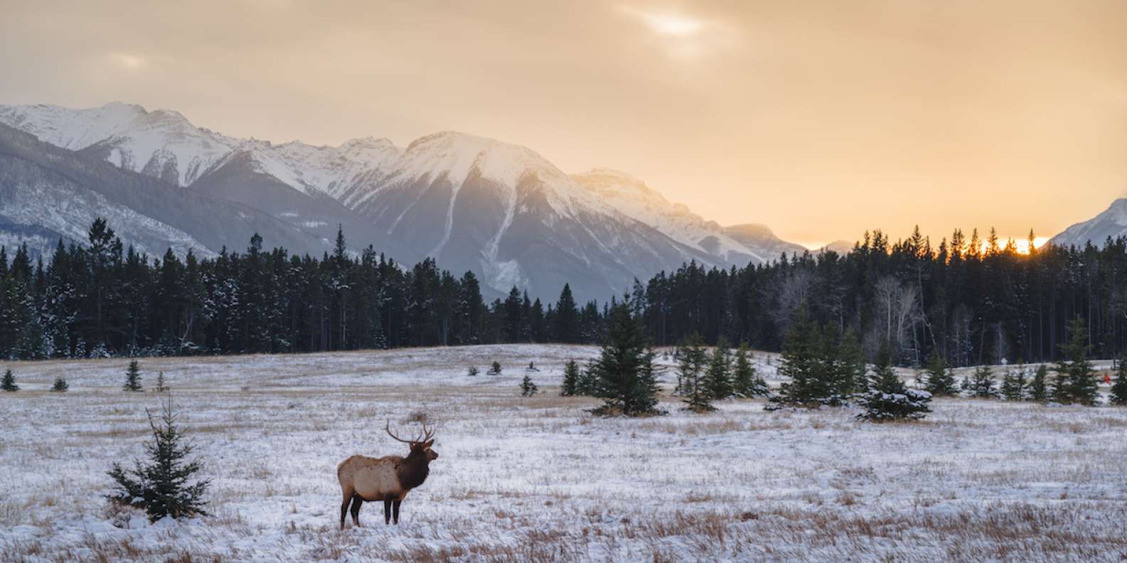 What to do in Boulder