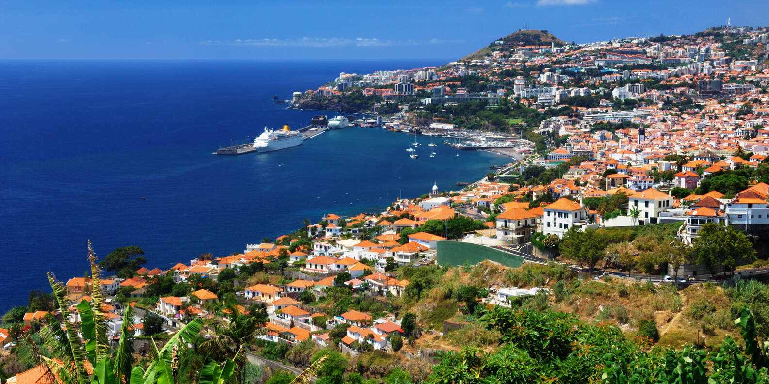 things to do in Funchal