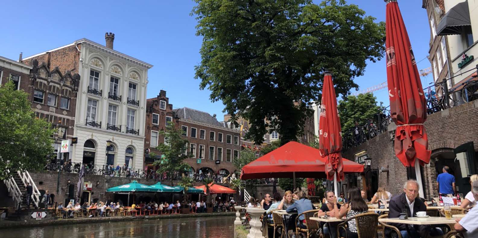 things to do in Haarlem