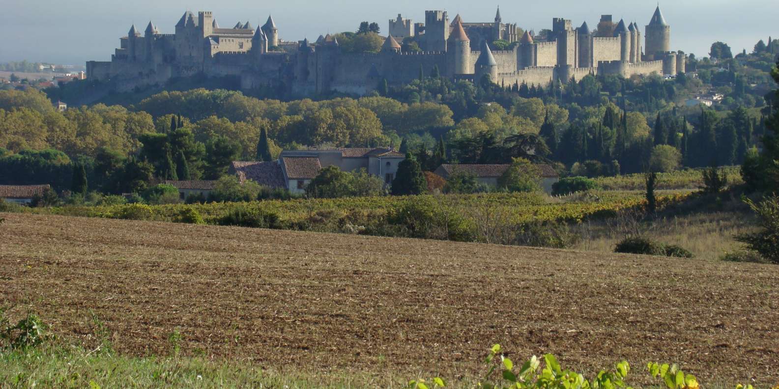things to do in Carcassonne