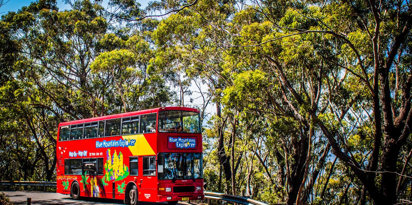 What to do in Leura