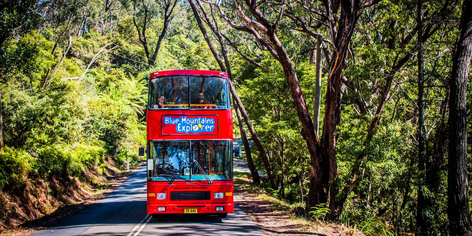 best things to do in Katoomba