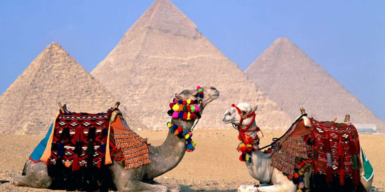 things to do in Cairo