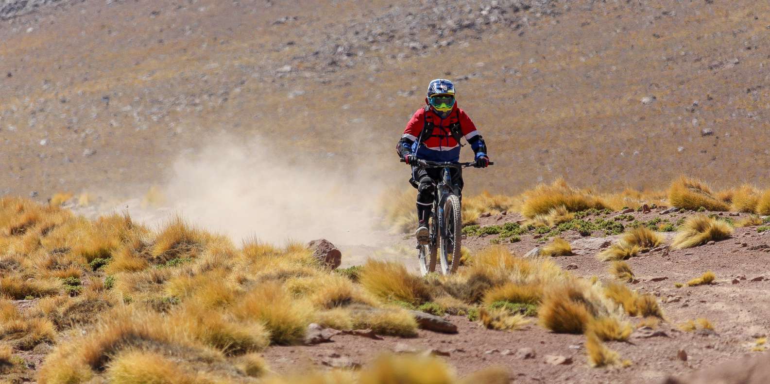 things to do in San Pedro de Atacama