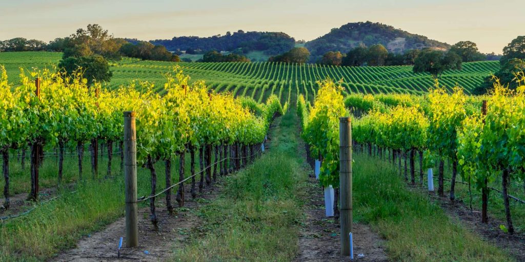 Things to do in Sonoma