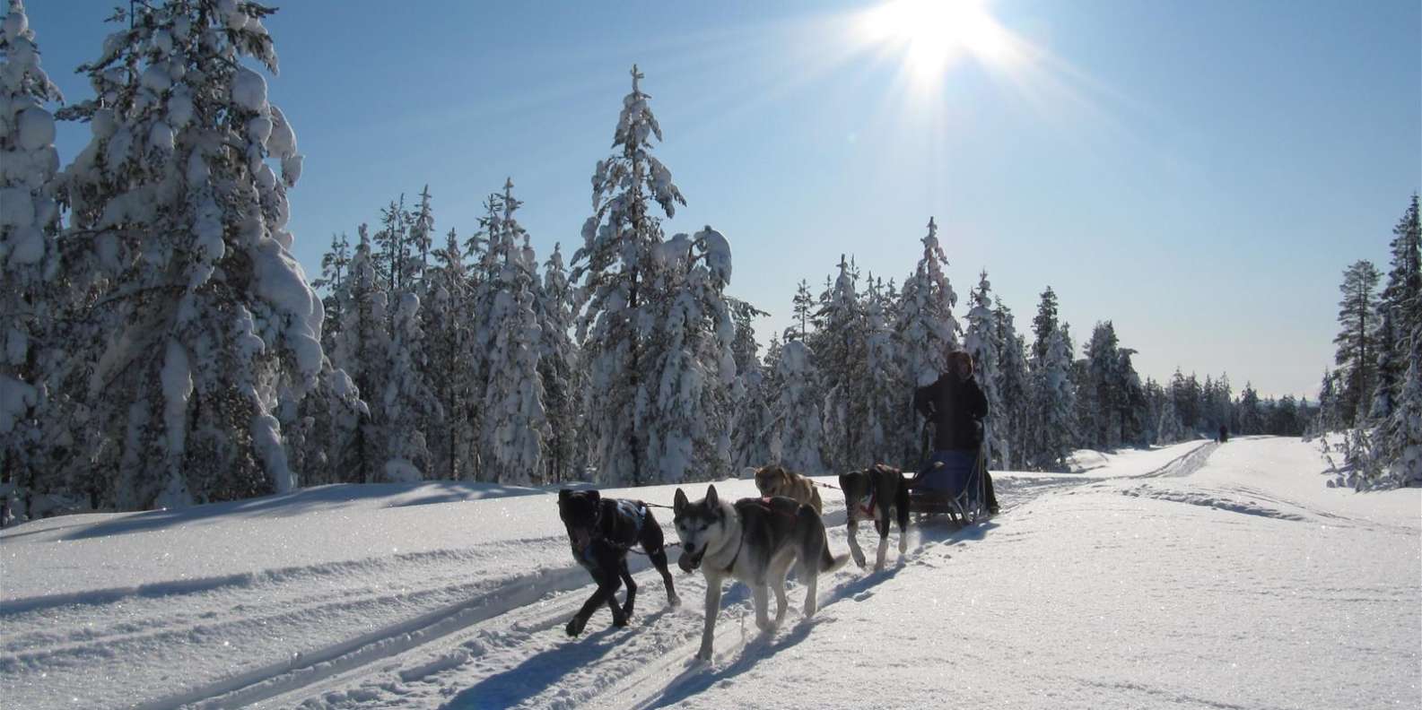 best things to do in Rovaniemi