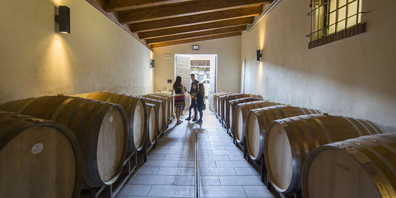 What to do in Barolo