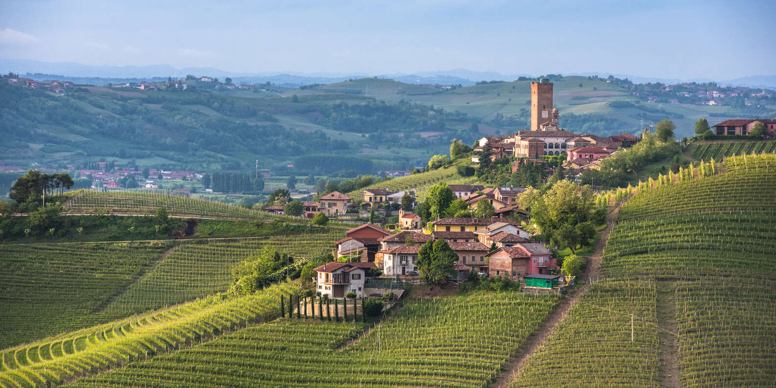 things to do in Barolo