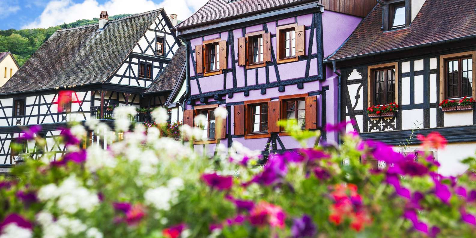 things to do in Colmar