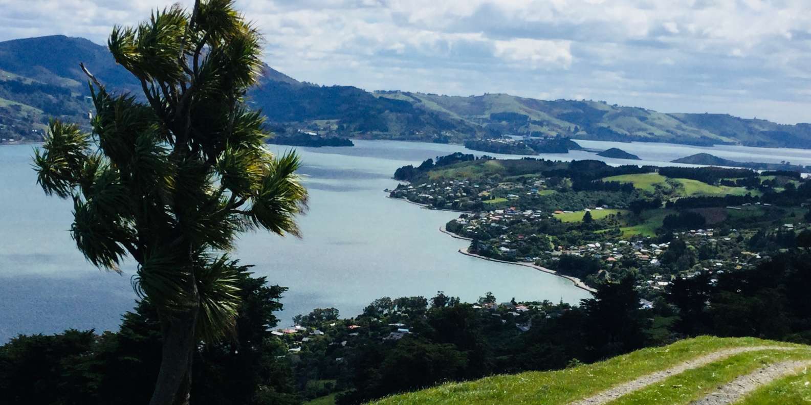things to do in Dunedin