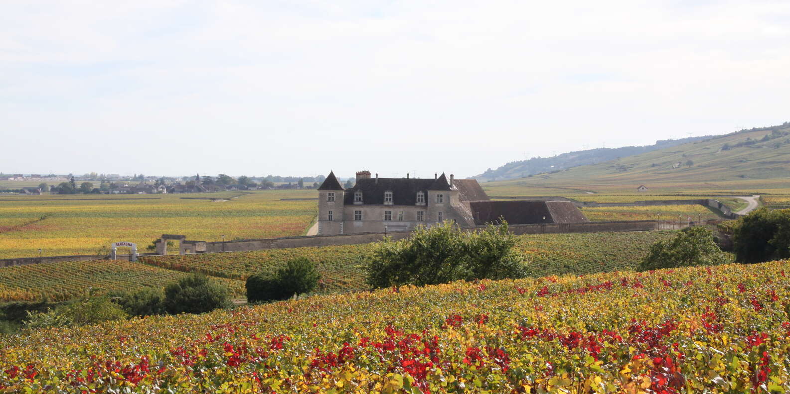 things to do in Beaune