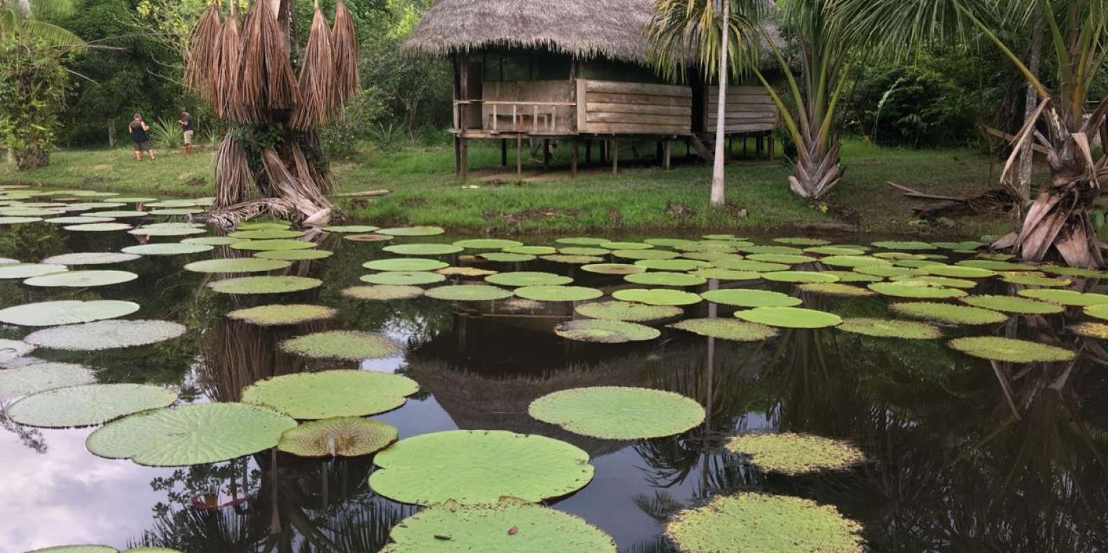 fun things to do in Iquitos
