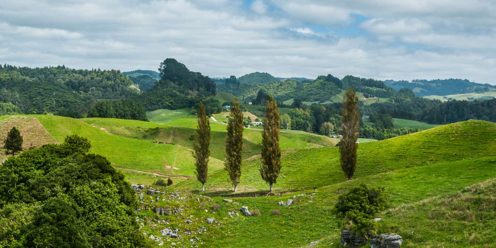 things to do in Waitomo