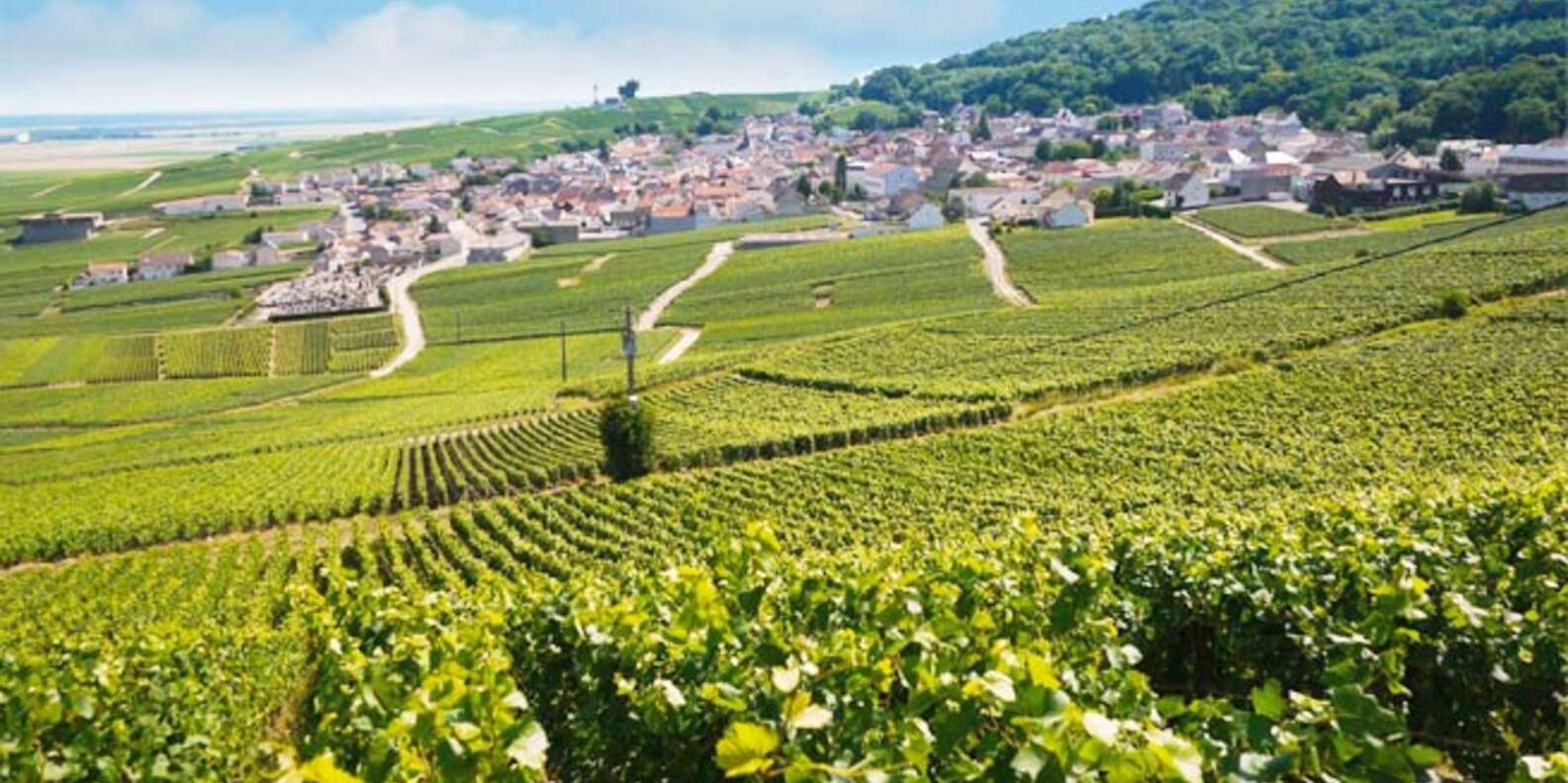 things to do in Epernay