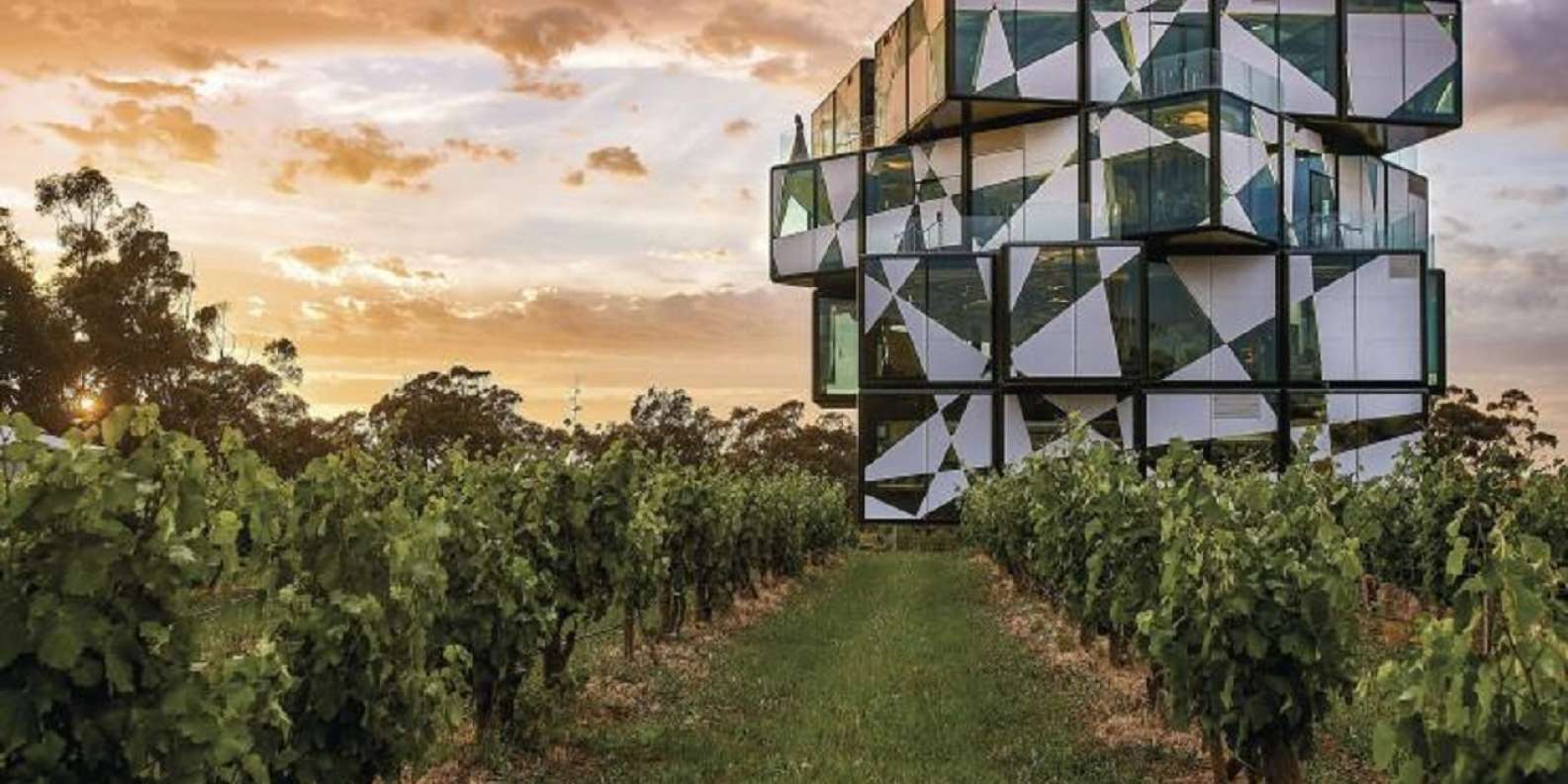 things to do in McLaren Vale