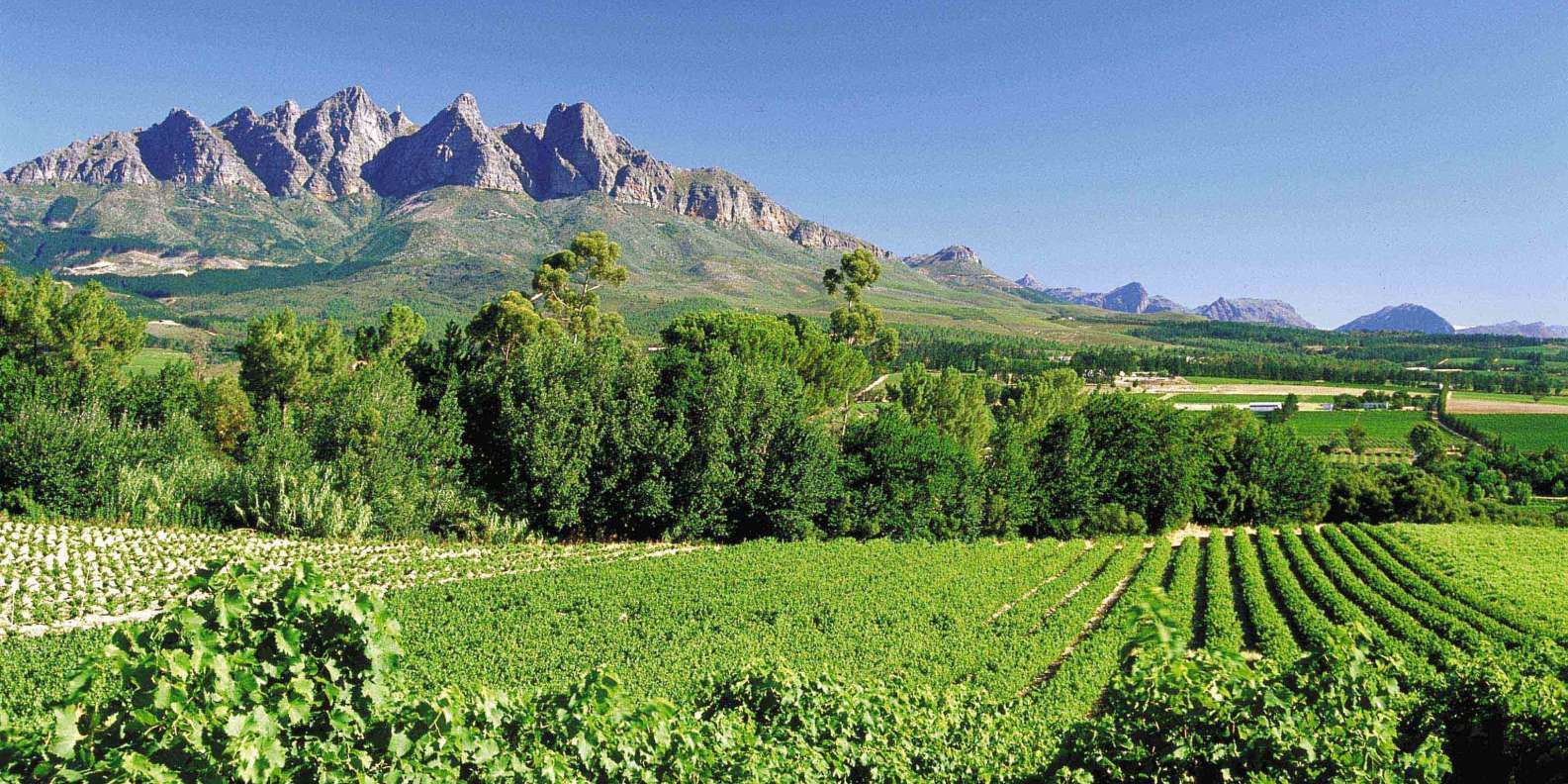 fun things to do in Paarl