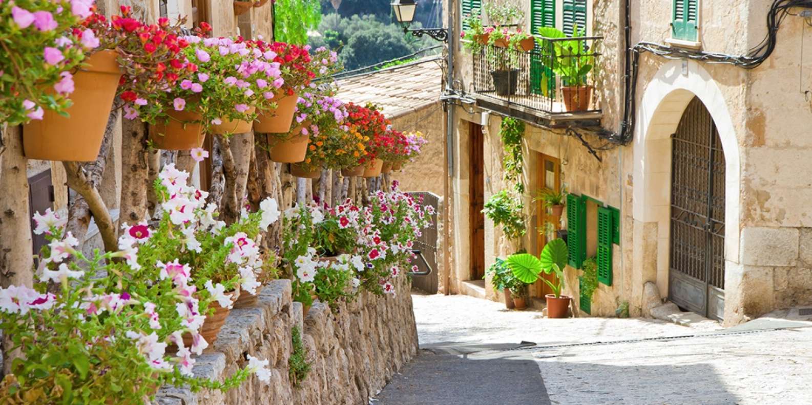 things to do in Valldemossa