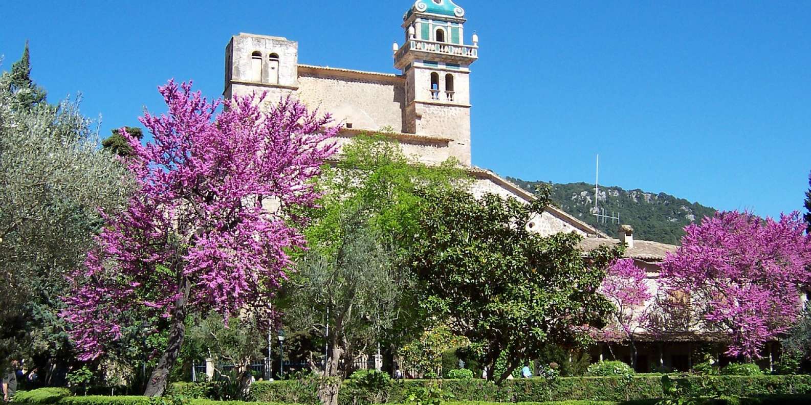 things to do in Valldemossa
