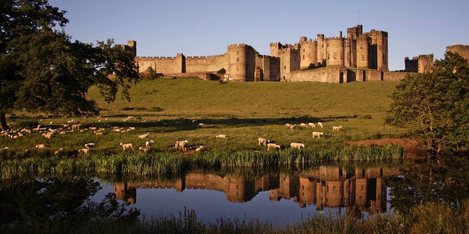 What to do in Alnwick