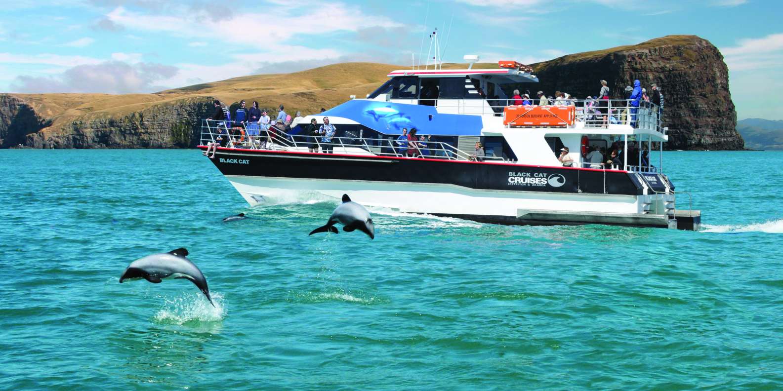 What to do in Akaroa