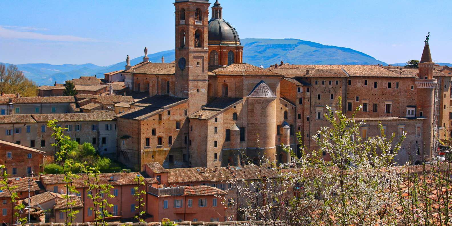 What to do in Urbino