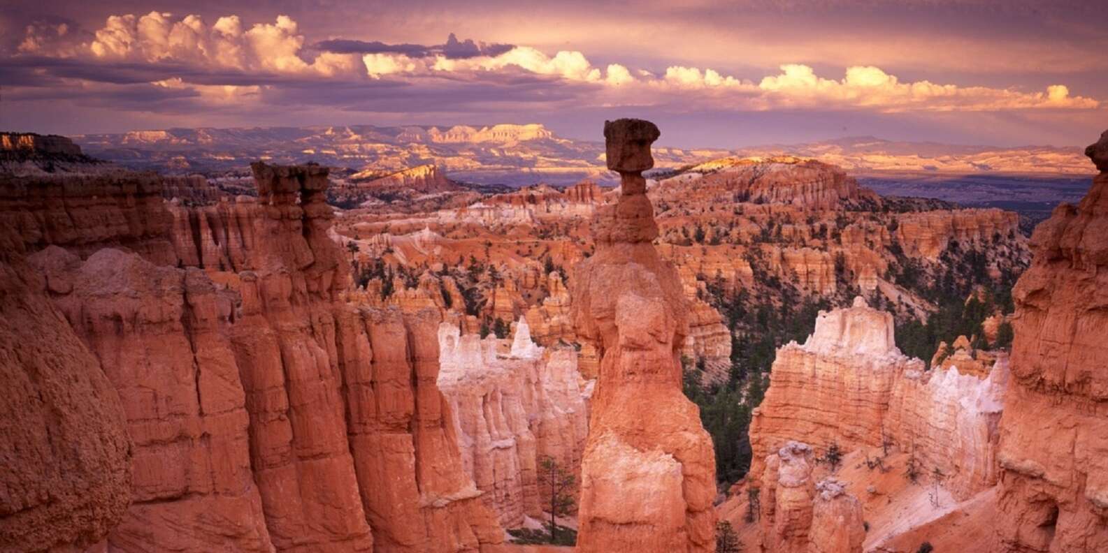 What to do in Bryce