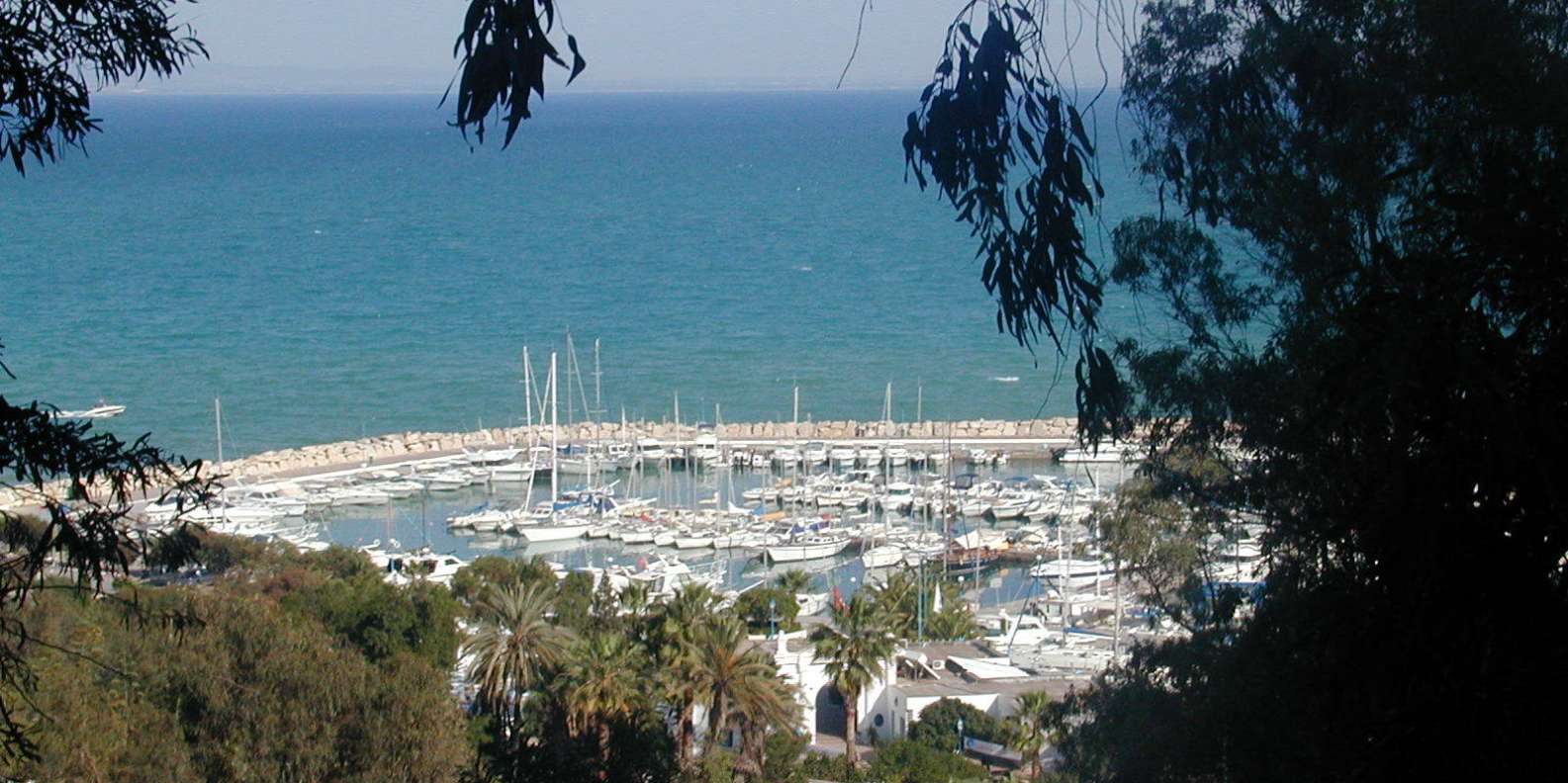 What to do in Sidi Bou Said